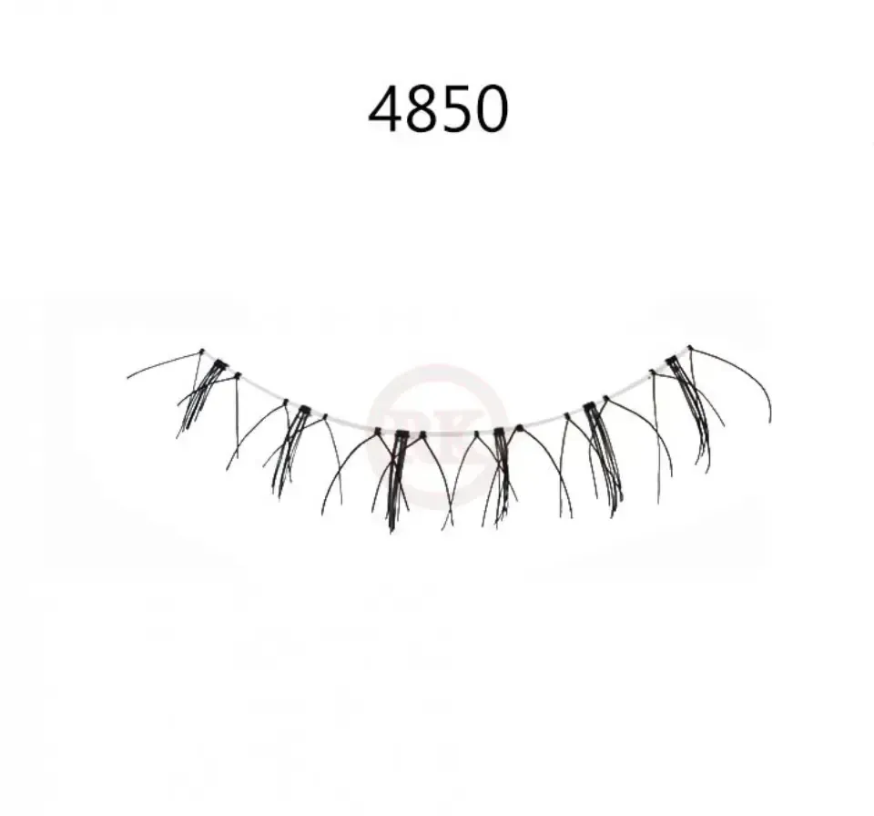 4850