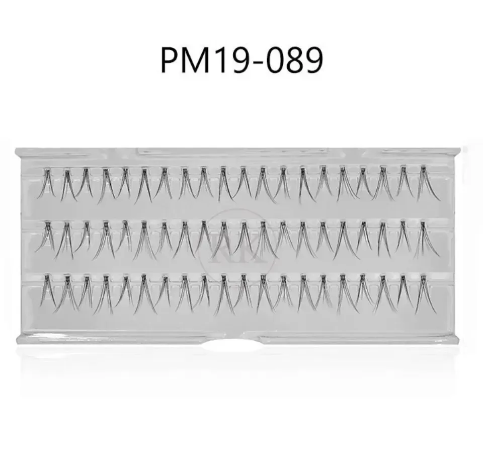 19_PM19-089