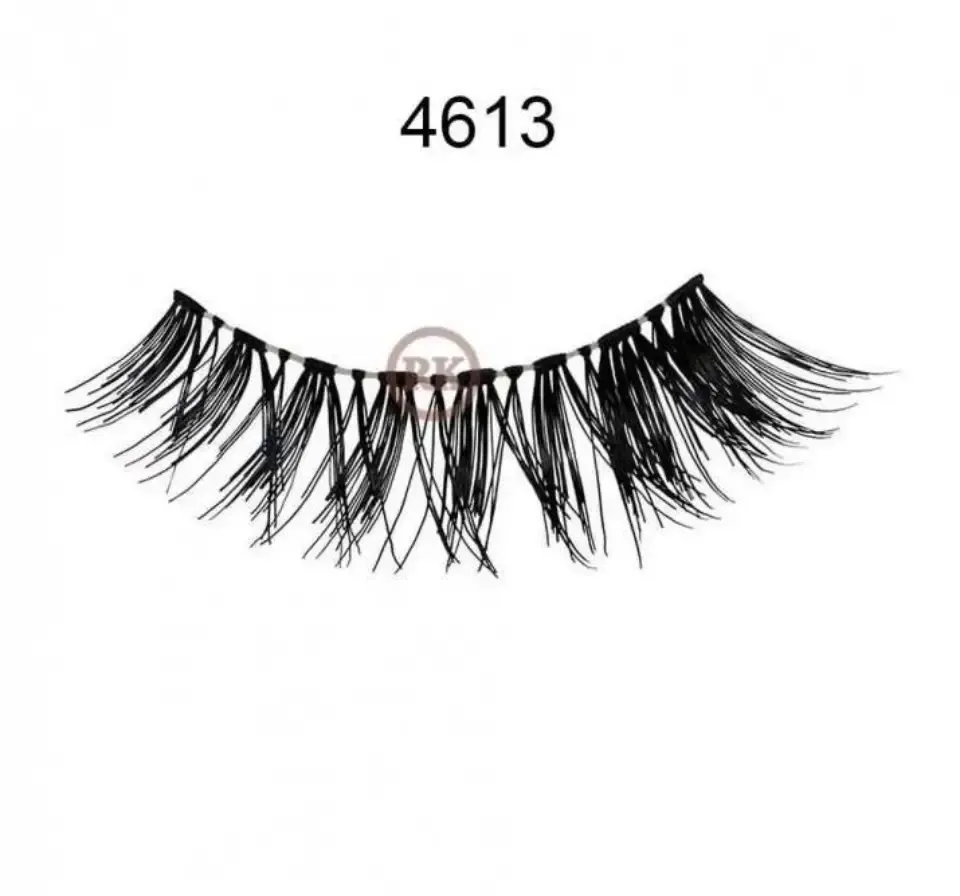 4613